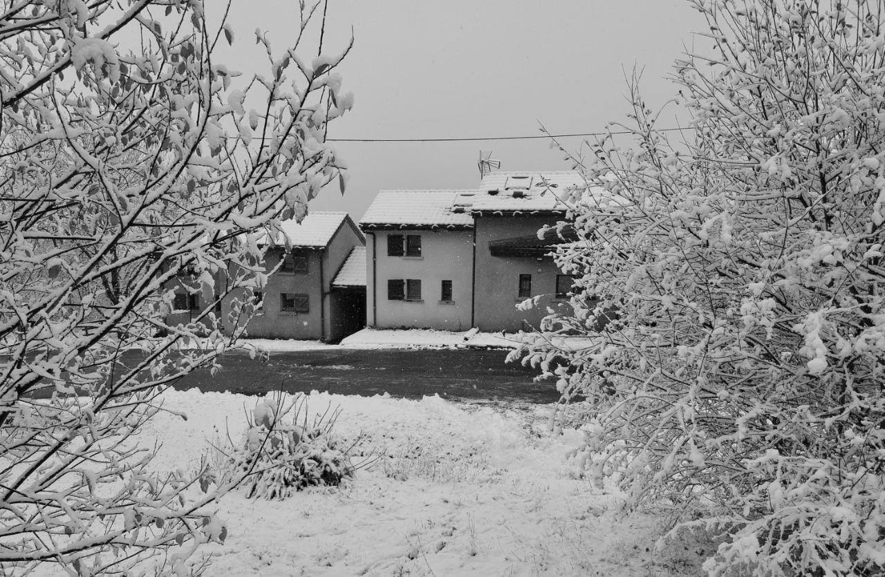 Chalets "Les Gentianes" Sorgeat المظهر الخارجي الصورة