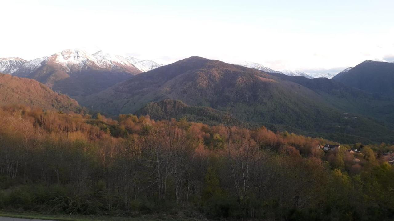 Chalets "Les Gentianes" Sorgeat المظهر الخارجي الصورة